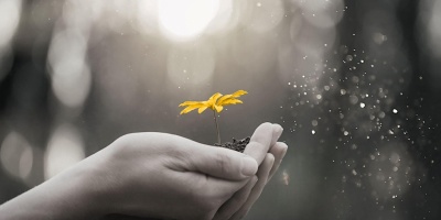 PAPA Workshop 3 – Change and Motivation