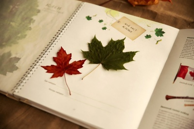 Autumn Craft Event