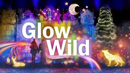 Glow Wild at Wakehurst