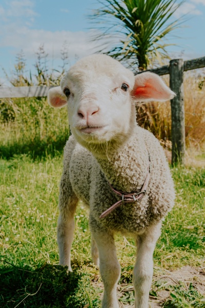 Step into Spring: Outdoor Wellbeing Event