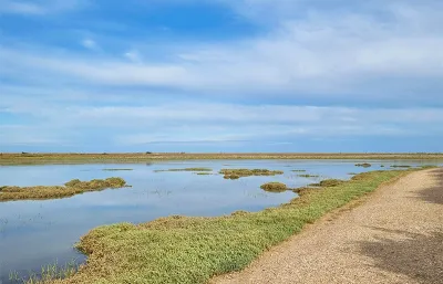 Pagham Nature Reserve Carers Walk