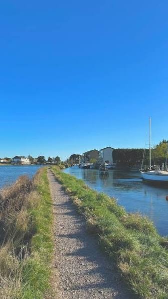 Carers two millponds walk in Emsworth