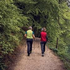 Chichester Carers Walk with Poles